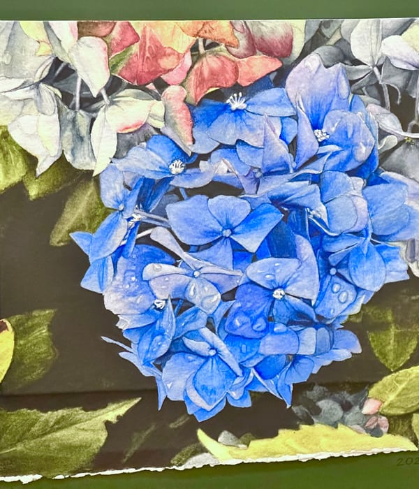 Obra de arte — Tania Shostak